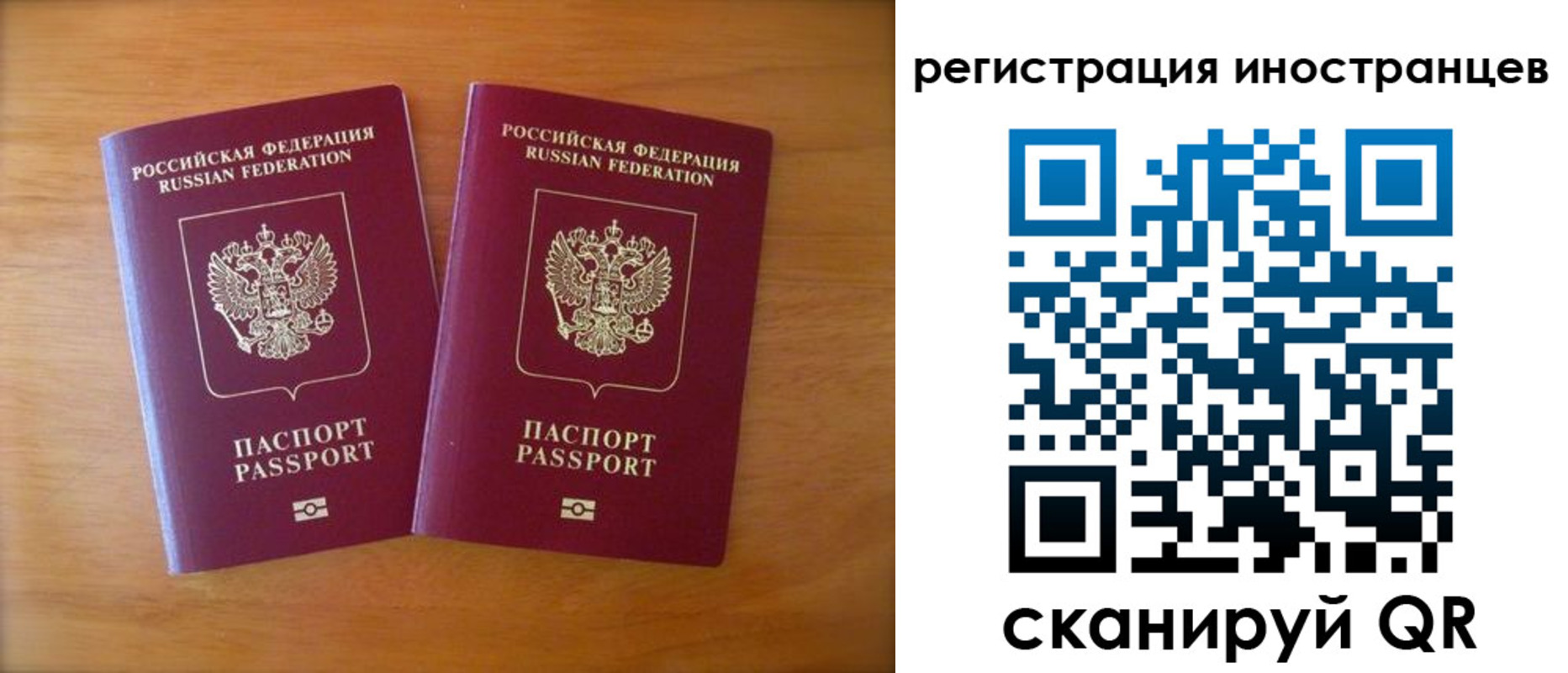 прописка поиск в Камешково